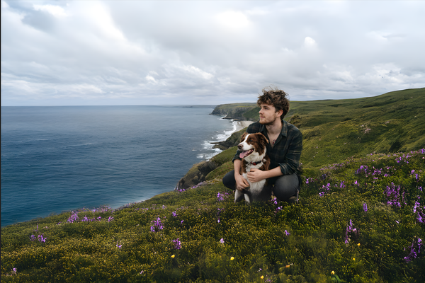 THE DISAPPEARANCE OF OWAIN HUGHES